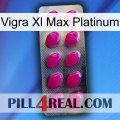 Vigra Xl Max Platinum 09